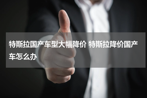 特斯拉国产车型大幅降价 特斯拉降价国产车怎么办