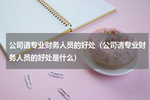 公司请专业财务人员的好处（公司请专业财务人员的好处是什么）