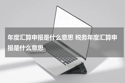 年度汇算申报是什么意思 税务年度汇算申报是什么意思