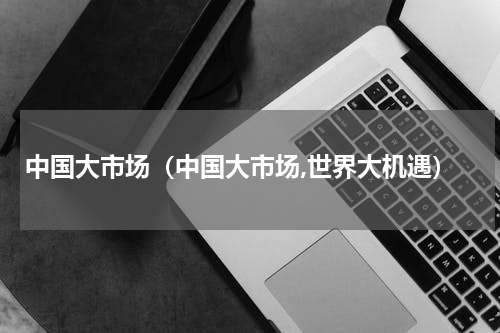 中国大市场（中国大市场,世界大机遇）