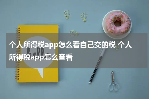个人所得税app怎么看自己交的税 个人所得税app怎么查看
