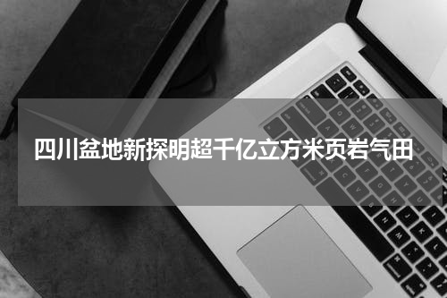 四川盆地新探明超千亿立方米页岩气田