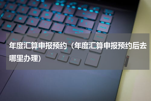 年度汇算申报预约（年度汇算申报预约后去哪里办理）