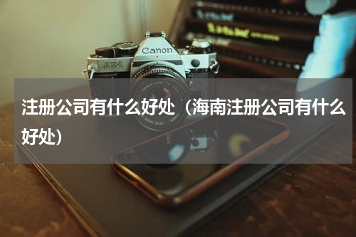 注册公司有什么好处（海南注册公司有什么好处）