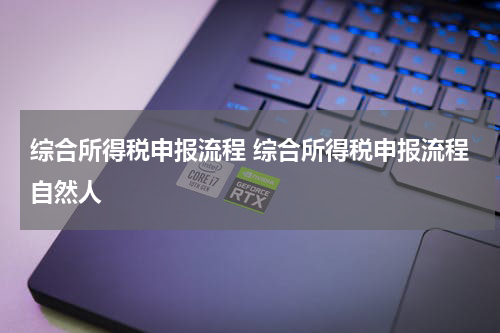 综合所得税申报流程 综合所得税申报流程自然人