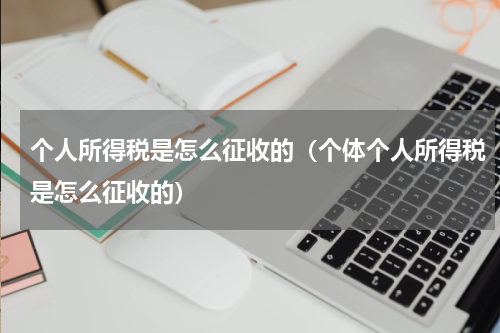 个人所得税是怎么征收的（个体个人所得税是怎么征收的）