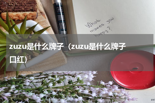 zuzu是什么牌子（zuzu是什么牌子口红）