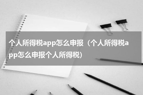 个人所得税app怎么申报（个人所得税app怎么申报个人所得税）