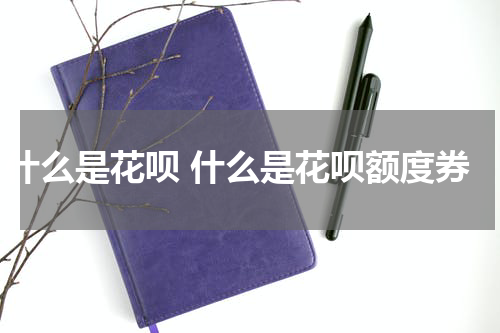 什么是花呗 什么是花呗额度券