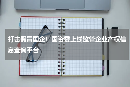 打击假冒国企！国资委上线监管企业产权信息查询平台