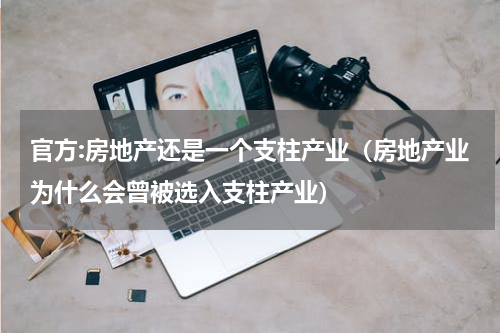 官方:房地产还是一个支柱产业（房地产业为什么会曾被选入支柱产业）