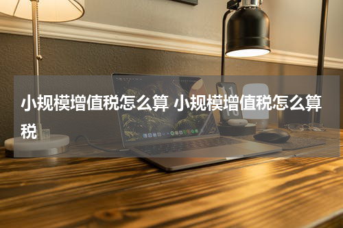 小规模增值税怎么算 小规模增值税怎么算税