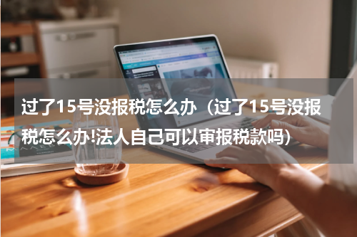 过了15号没报税怎么办（过了15号没报税怎么办!法人自己可以审报税款吗）