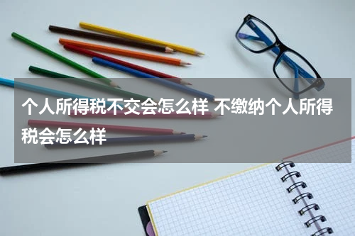个人所得税不交会怎么样 不缴纳个人所得税会怎么样