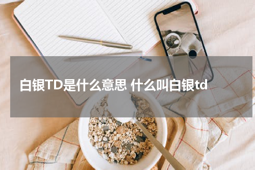 白银TD是什么意思 什么叫白银td