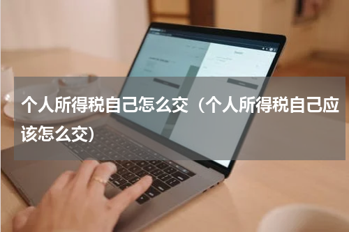 个人所得税自己怎么交（个人所得税自己应该怎么交）