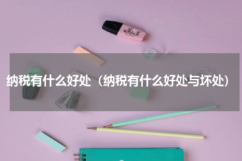 纳税有什么好处（纳税有什么好处与坏处）