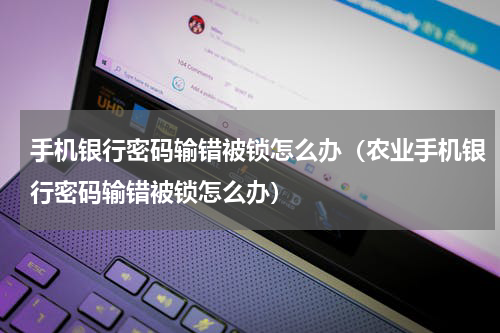手机银行密码输错被锁怎么办（农业手机银行密码输错被锁怎么办）