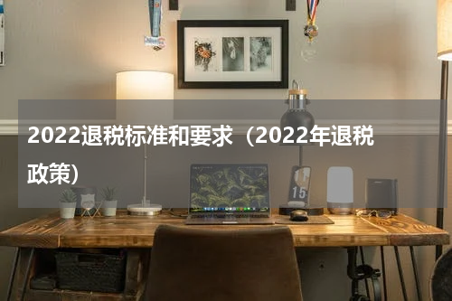 2022退税标准和要求（2022年退税政策）