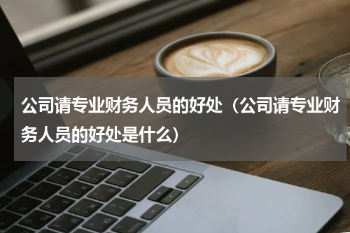 公司请专业财务人员的好处（公司请专业财务人员的好处是什么）