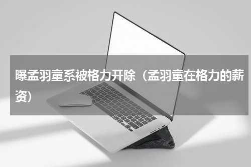 曝孟羽童系被格力开除（孟羽童在格力的薪资）