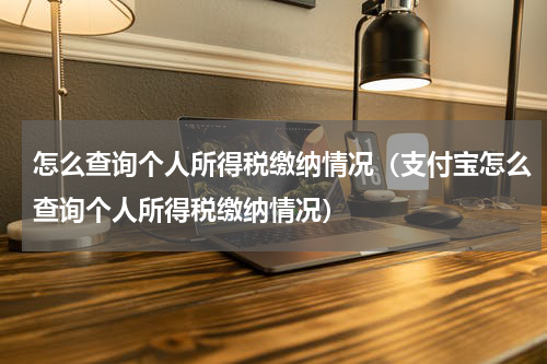 怎么查询个人所得税缴纳情况（支付宝怎么查询个人所得税缴纳情况）