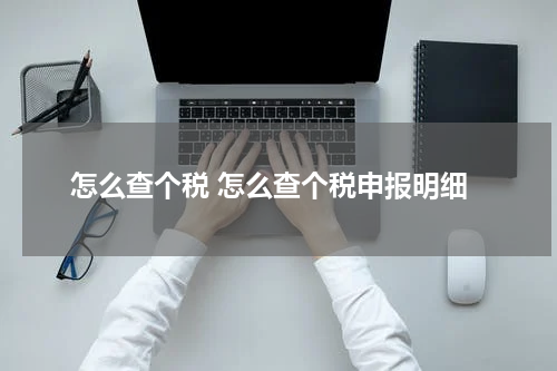 怎么查个税 怎么查个税申报明细