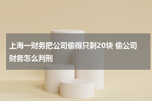 上海一财务把公司偷得只剩20块 偷公司财务怎么判刑