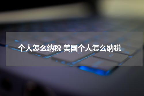 个人怎么纳税 美国个人怎么纳税