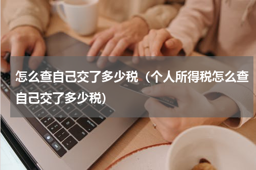 怎么查自己交了多少税（个人所得税怎么查自己交了多少税）
