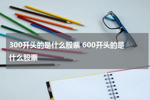 300开头的是什么股票 600开头的是什么股票