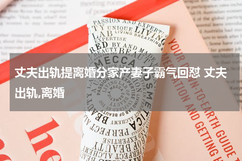 丈夫出轨提离婚分家产妻子霸气回怼 丈夫出轨,离婚