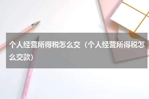 个人经营所得税怎么交（个人经营所得税怎么交款）