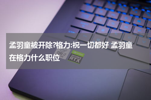 孟羽童被开除?格力:祝一切都好 孟羽童在格力什么职位