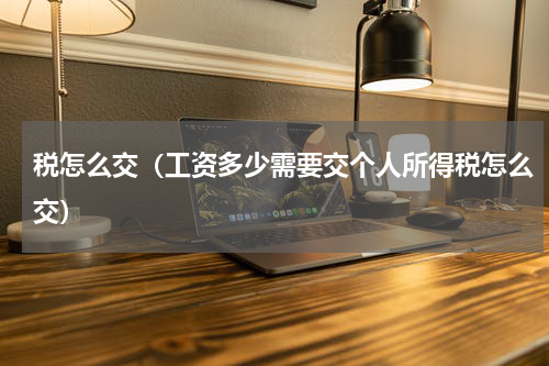 税怎么交（工资多少需要交个人所得税怎么交）