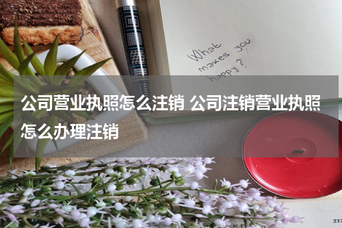 公司营业执照怎么注销 公司注销营业执照怎么办理注销