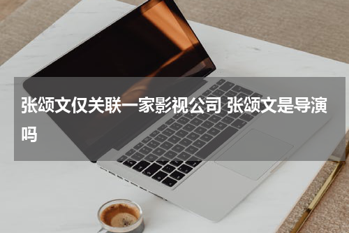 张颂文仅关联一家影视公司 张颂文是导演吗