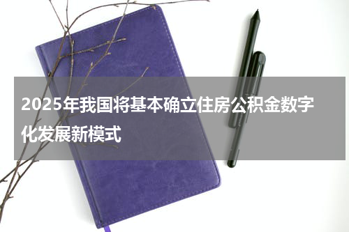 2025年我国将基本确立住房公积金数字化发展新模式