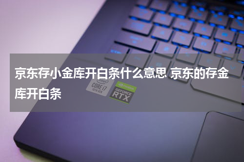 京东存小金库开白条什么意思 京东的存金库开白条