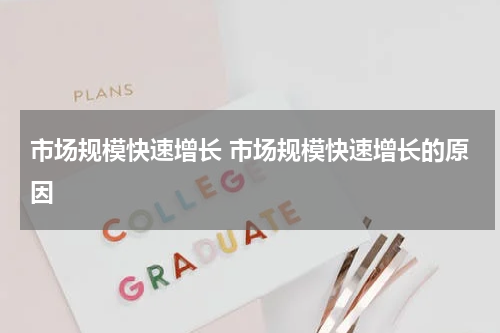 市场规模快速增长 市场规模快速增长的原因