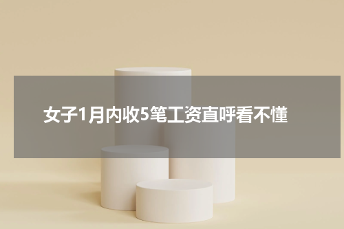 女子1月内收5笔工资直呼看不懂
