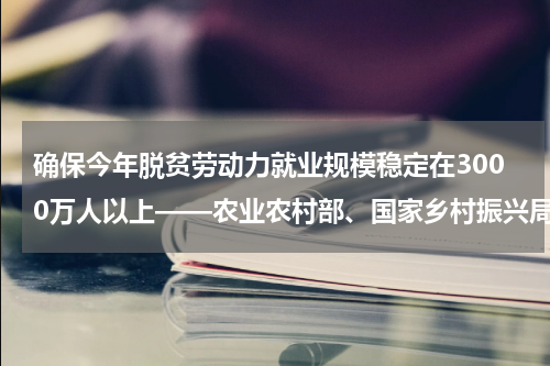 确保今年脱贫劳动力就业规模稳定在3000万人以上——农业农村部、国家乡村振兴局有关负责人回应巩固脱贫热点问题
