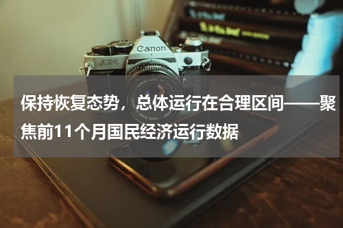 保持恢复态势，总体运行在合理区间——聚焦前11个月国民经济运行数据