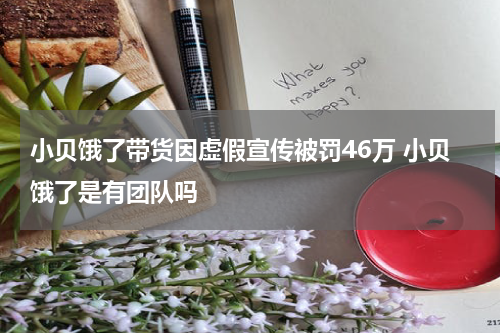 小贝饿了带货因虚假宣传被罚46万 小贝饿了是有团队吗