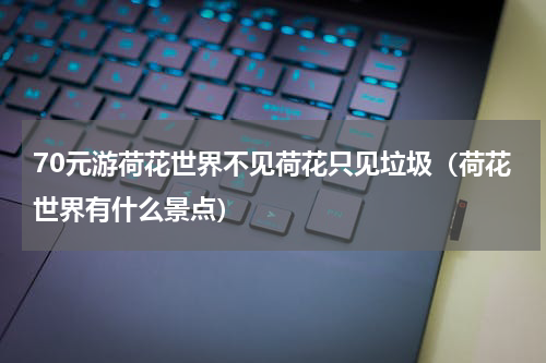70元游荷花世界不见荷花只见垃圾（荷花世界有什么景点）