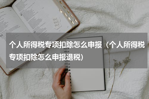 个人所得税专项扣除怎么申报（个人所得税专项扣除怎么申报退税）