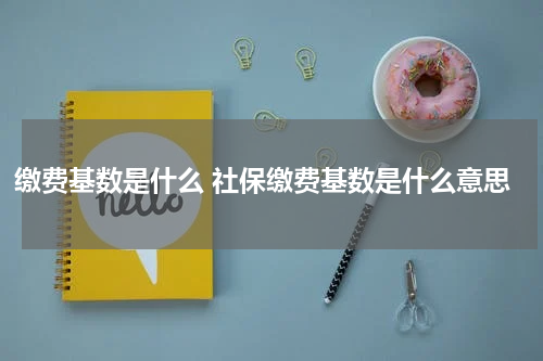 缴费基数是什么 社保缴费基数是什么意思