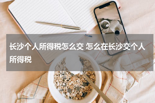 长沙个人所得税怎么交 怎么在长沙交个人所得税