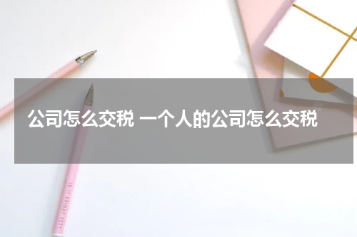 公司怎么交税 一个人的公司怎么交税