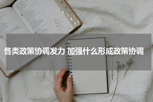 各类政策协调发力 加强什么形成政策协调
